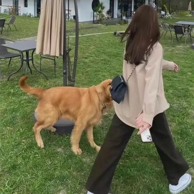 新手人生
